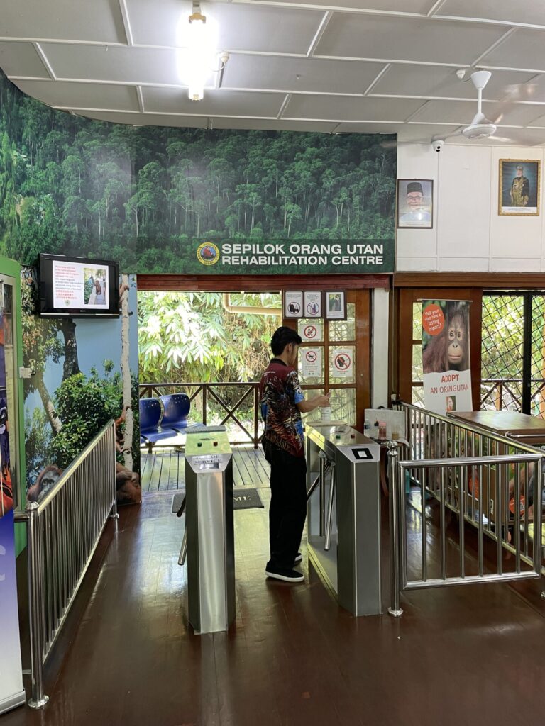 Sepilok Orangutan Rehabilitation Center: My Honest Review in 2025