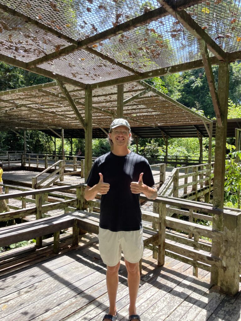 Sepilok Orangutan Rehabilitation Center: My Honest Review in 2025