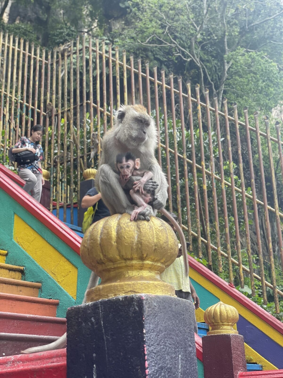 The 7 Best Things to Do in Kuala Lumpur Malaysia: My Favorite Activities in KL