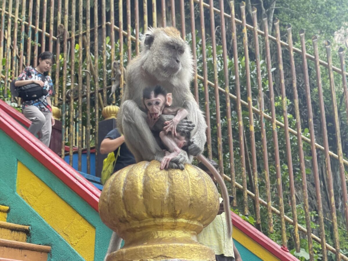 The 7 Best Things to Do in Kuala Lumpur Malaysia: My Favorite Activities in KL
