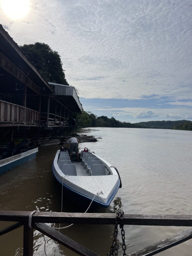 Where to Stay Kinabatangan River Borneo: My Top Areas and Lodges in 2025