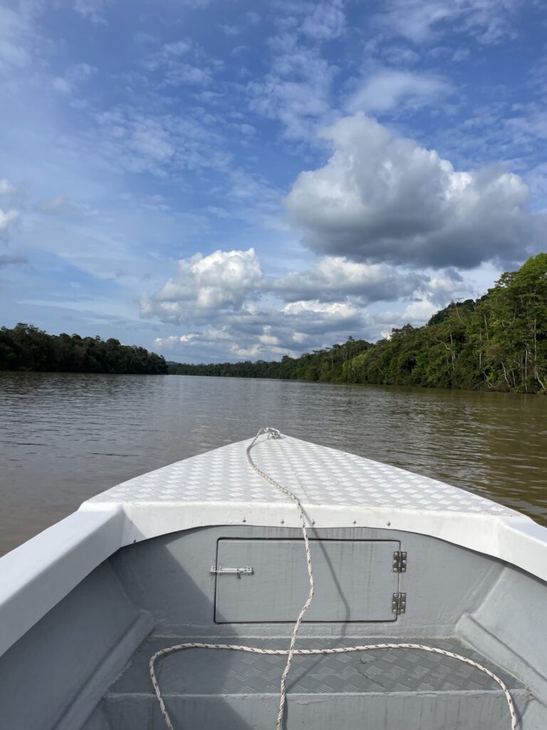 10 Day Borneo Itinerary: What I Did , Loved & Learned in The Land Below the Wind