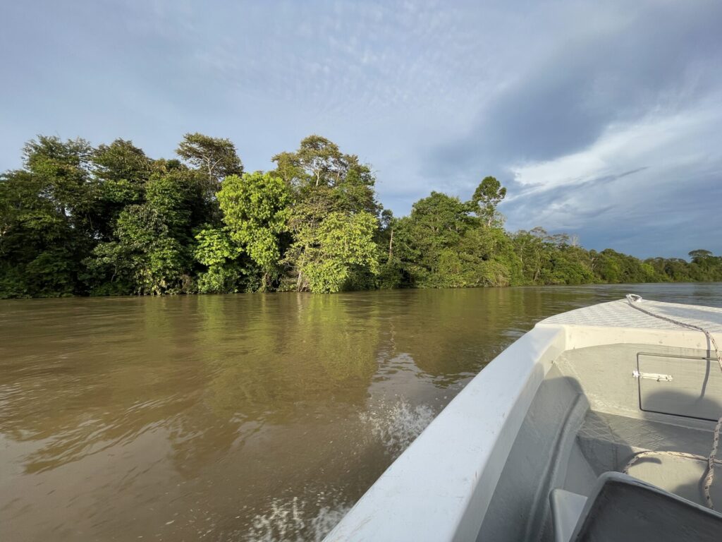 Where to Stay Kinabatangan River Borneo: My Top Areas and Lodges in 2025