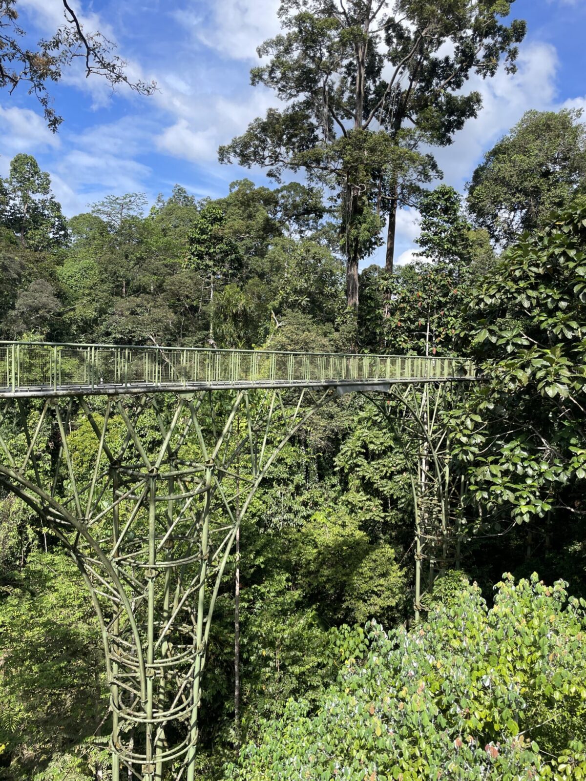 Rainforest Discovery Center Sepilok: My Honest Review 2025