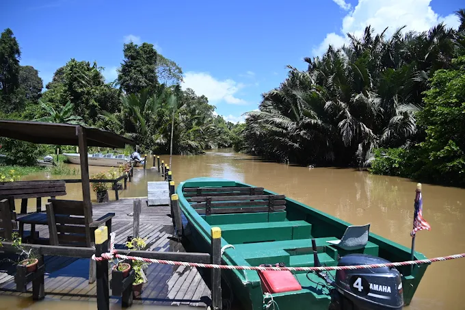 Where to Stay Kinabatangan River Borneo: My Top Areas and Lodges in 2025