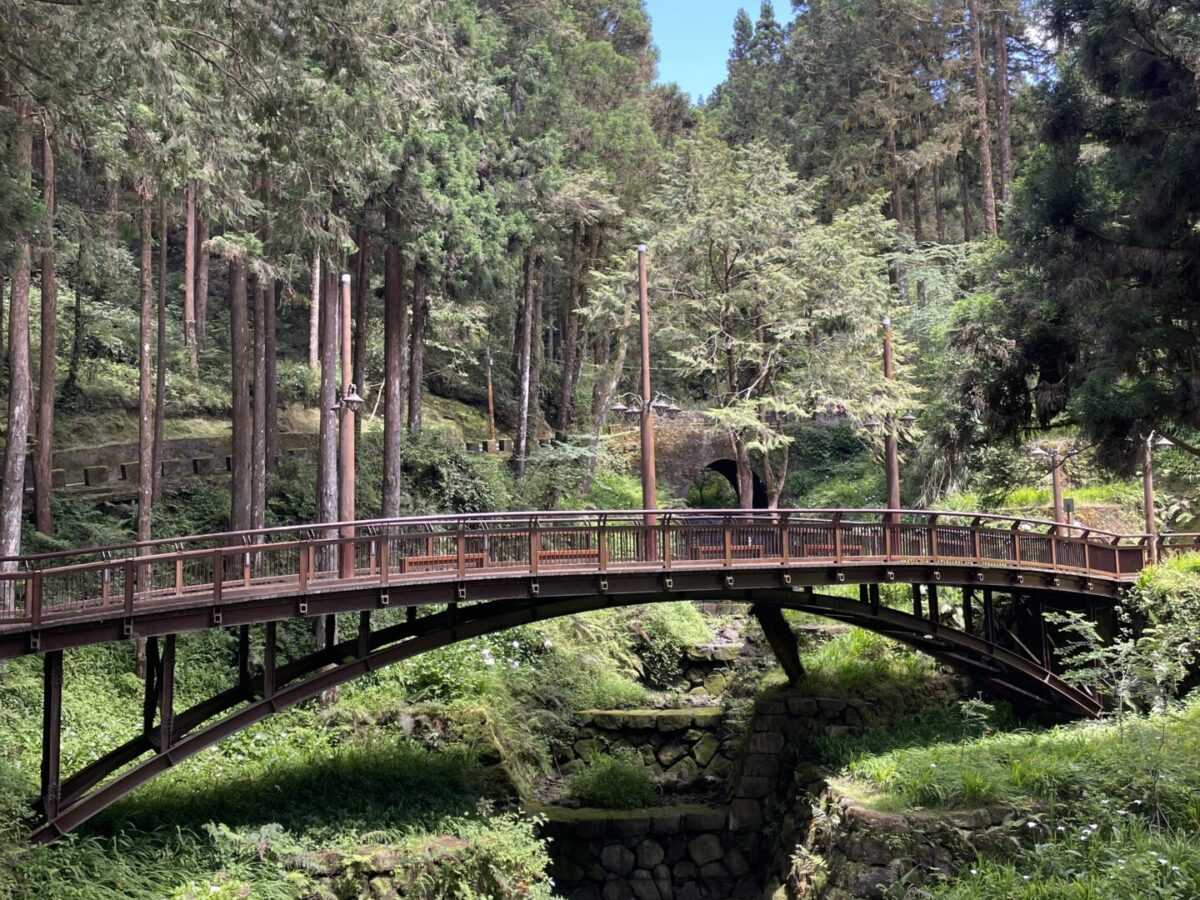 The Best Time to Visit Alishan National Forest (And When I’d Go Again)  2025