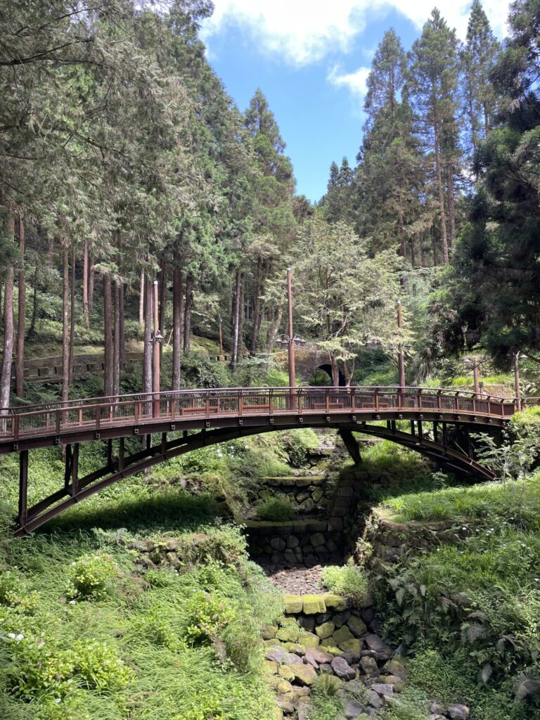 The Best Time to Visit Alishan National Forest (And When I’d Go Again)  2025