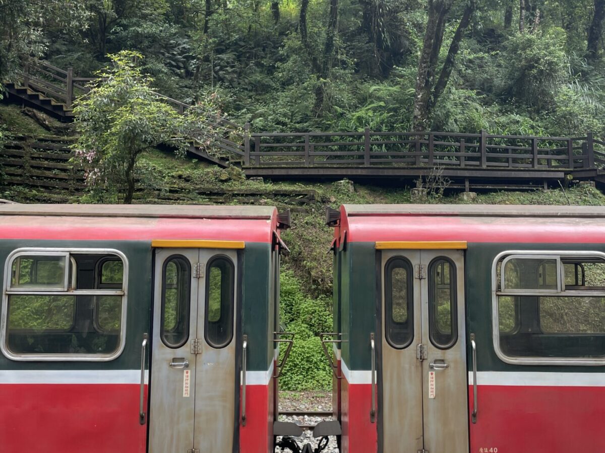 How to Take the Train to Alishan Forest: My Complete Guide in 2025