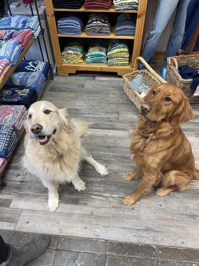 Is Crested Butte Worth Visiting? My Honest Review (2025)