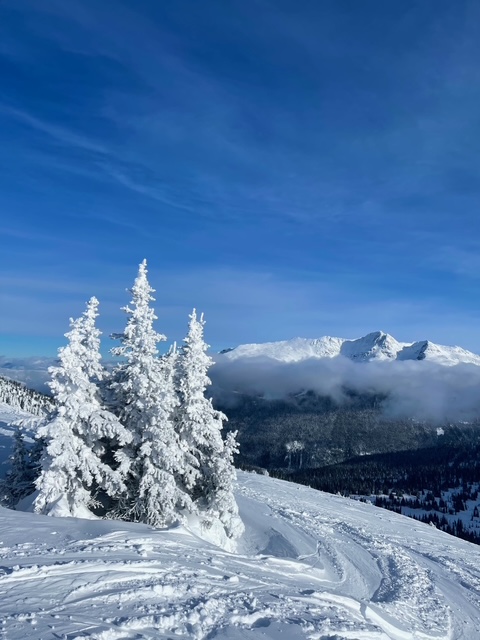 The Best Time to Visit Whistler Canada (And When I’d Go Again) 2025