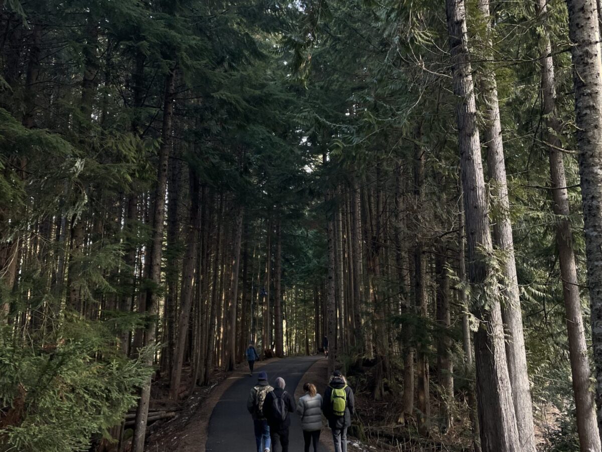 How to Get to Whistler BC: My Experience & The Easiest Way (2025)