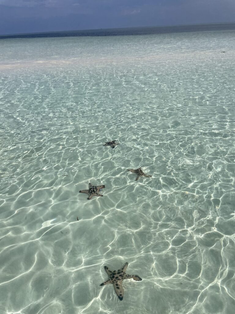 Is Balabac Worth Visiting? My Honest Review (2025)