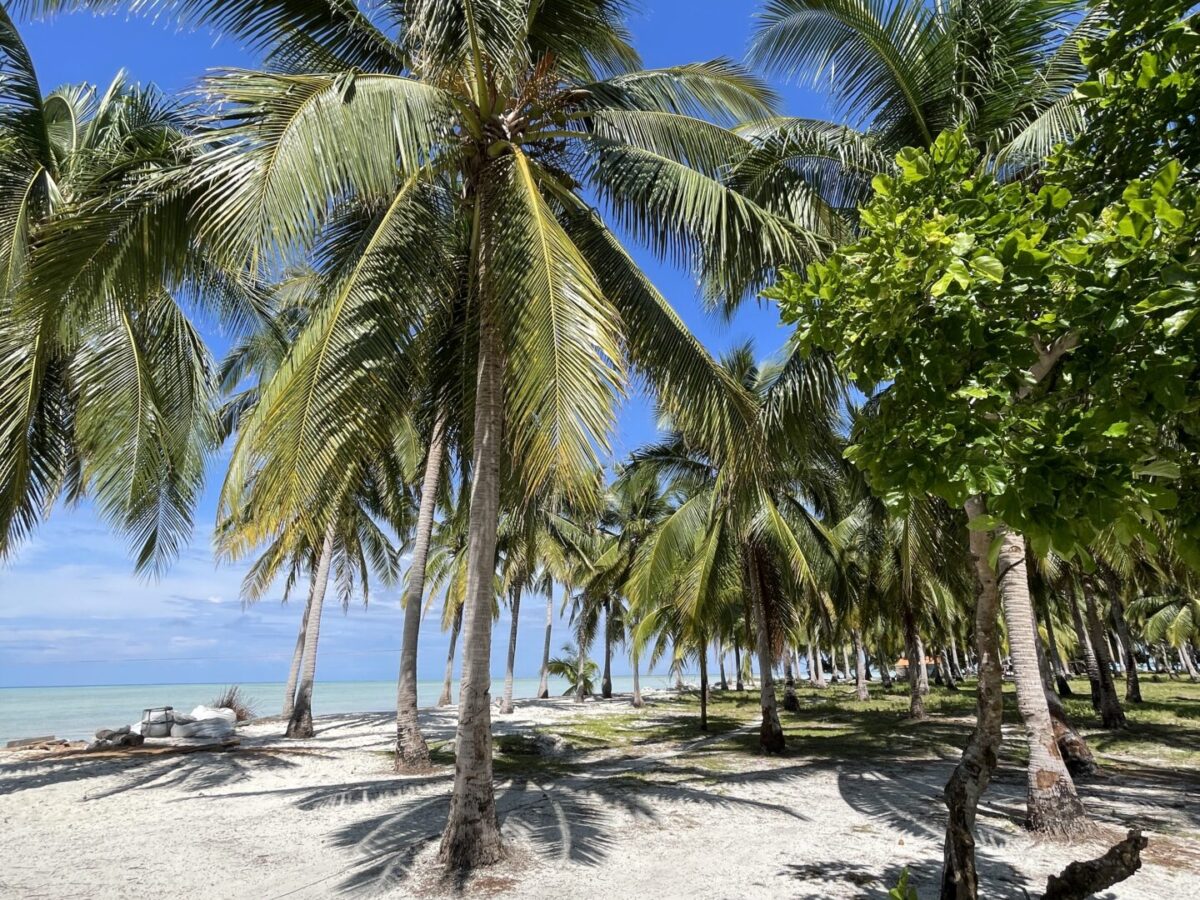 A Mini Guide to Onok Island Balabac: Everything You Need to Know 2025