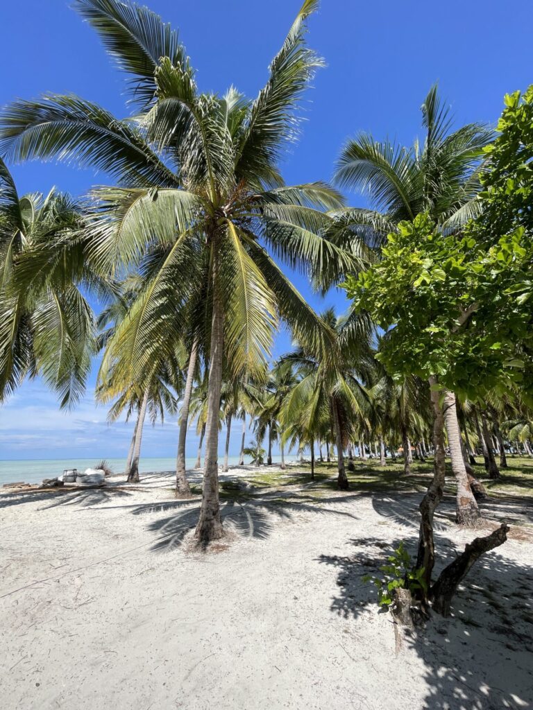 A Mini Guide to Onok Island Balabac: Everything You Need to Know 2025