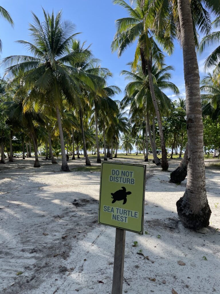 A Mini Guide to Onok Island Balabac: Everything You Need to Know 2025