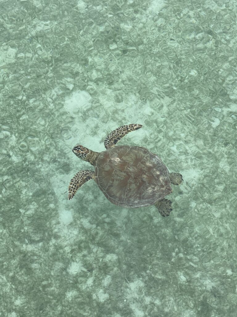 Is Balabac Worth Visiting? My Honest Review (2025)