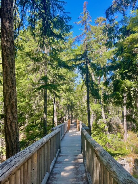 The Best Time to Visit Whistler Canada (And When I’d Go Again) 2025
