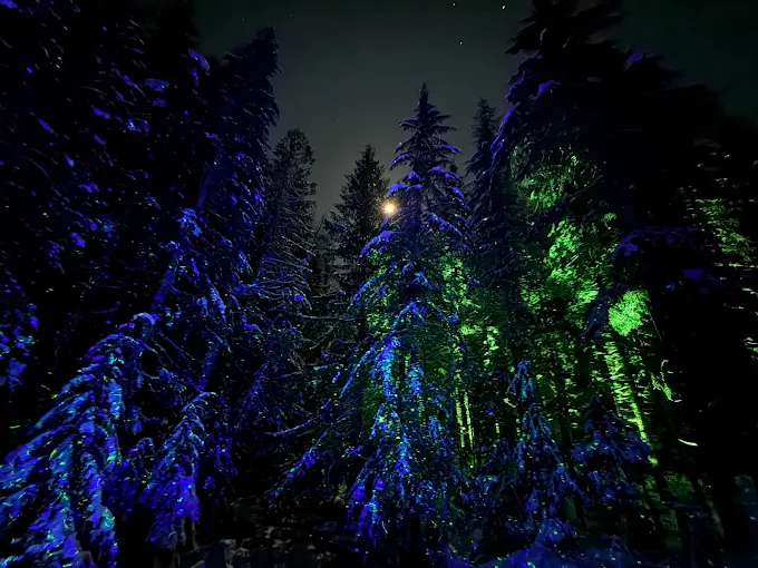 The 7 Best Things to Do in Whistler in Winter: My Top Activities Beyond Skiing