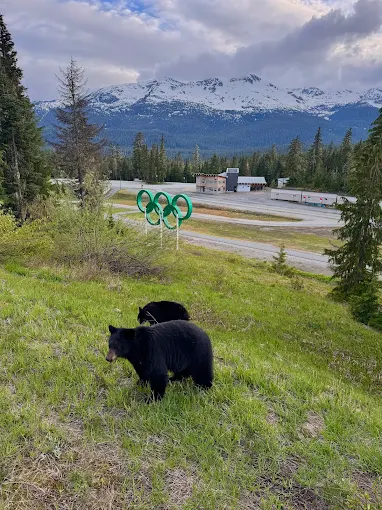 Is Whistler Worth Visiting? My Honest Review (2025)