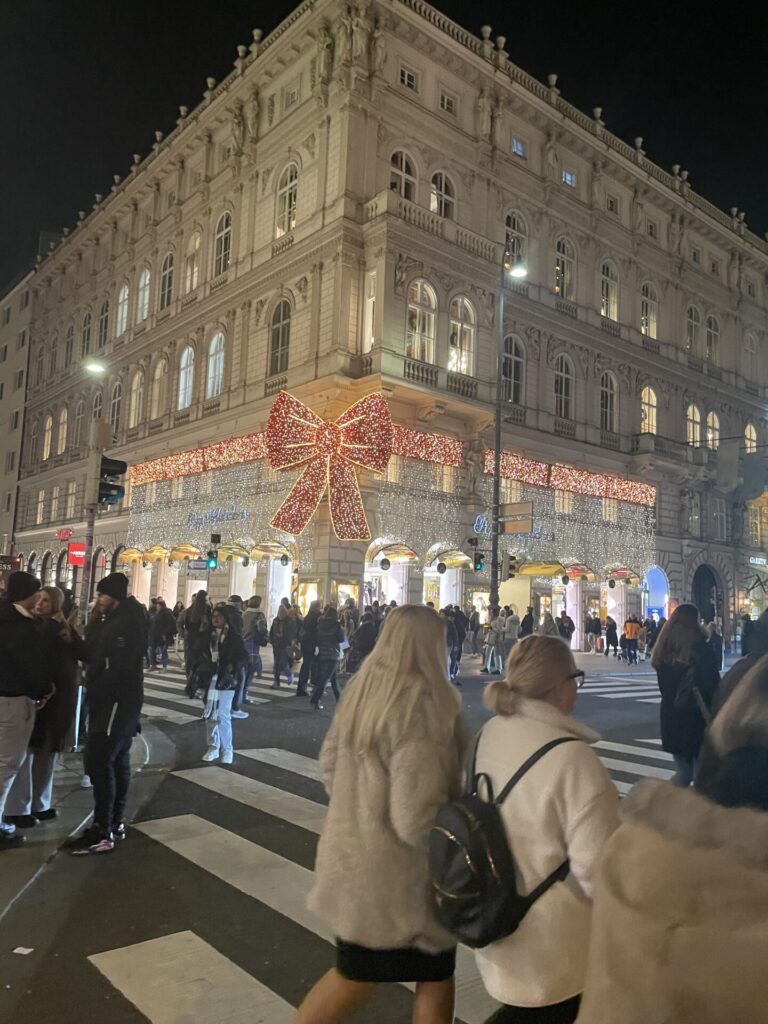 The Ultimate 3 Day Vienna Travel Itinerary: How I Spent a Weekend in Vienna as a Tourist