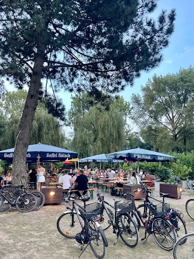 Food in Cologne: My 11 Best Cologne Restaurants for German Food in 2025