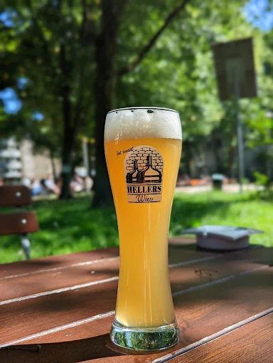 Food in Cologne: My 11 Best Cologne Restaurants for German Food in 2025