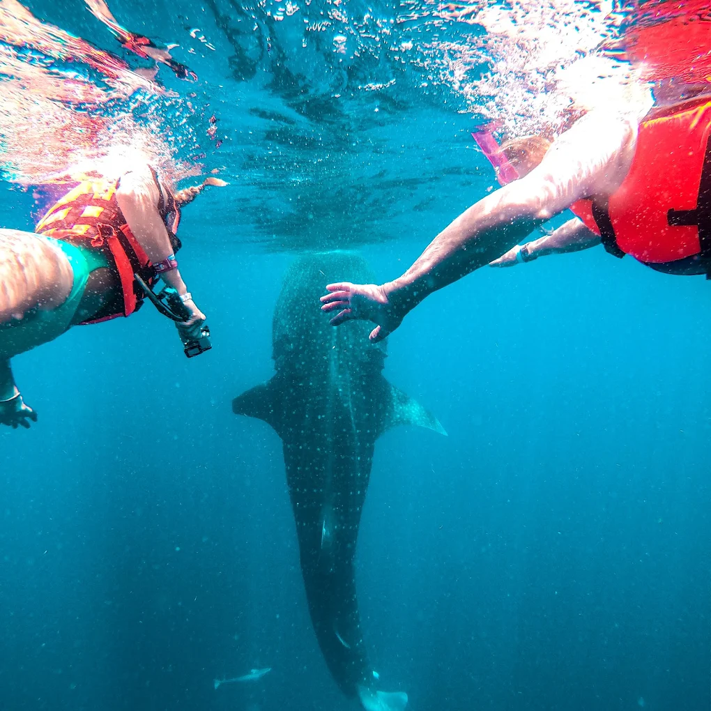 Is Playa del Carmen Worth Visiting? My Honest Review 2025