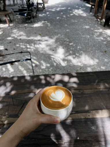 The 7 Best Cafes in Tulum: My Top Coffee Shops in Tulum