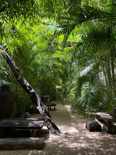 The 7 Best Cafes in Tulum: My Top Coffee Shops in Tulum