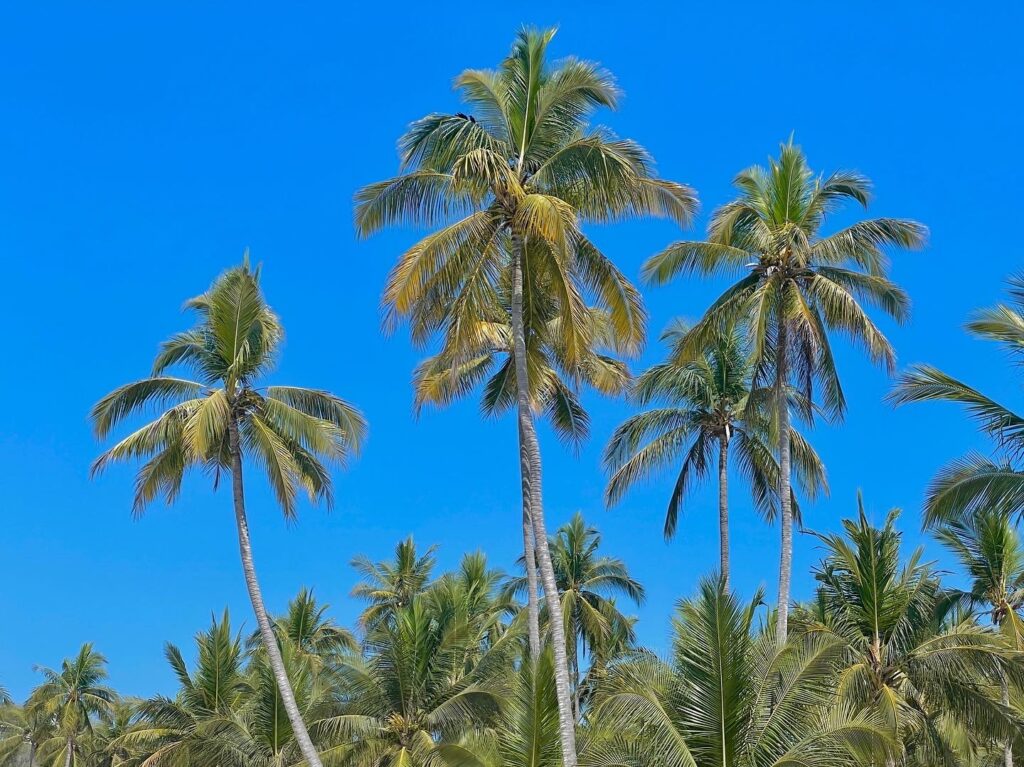 Is Tulum Worth Visiting? My Honest Review in 2025