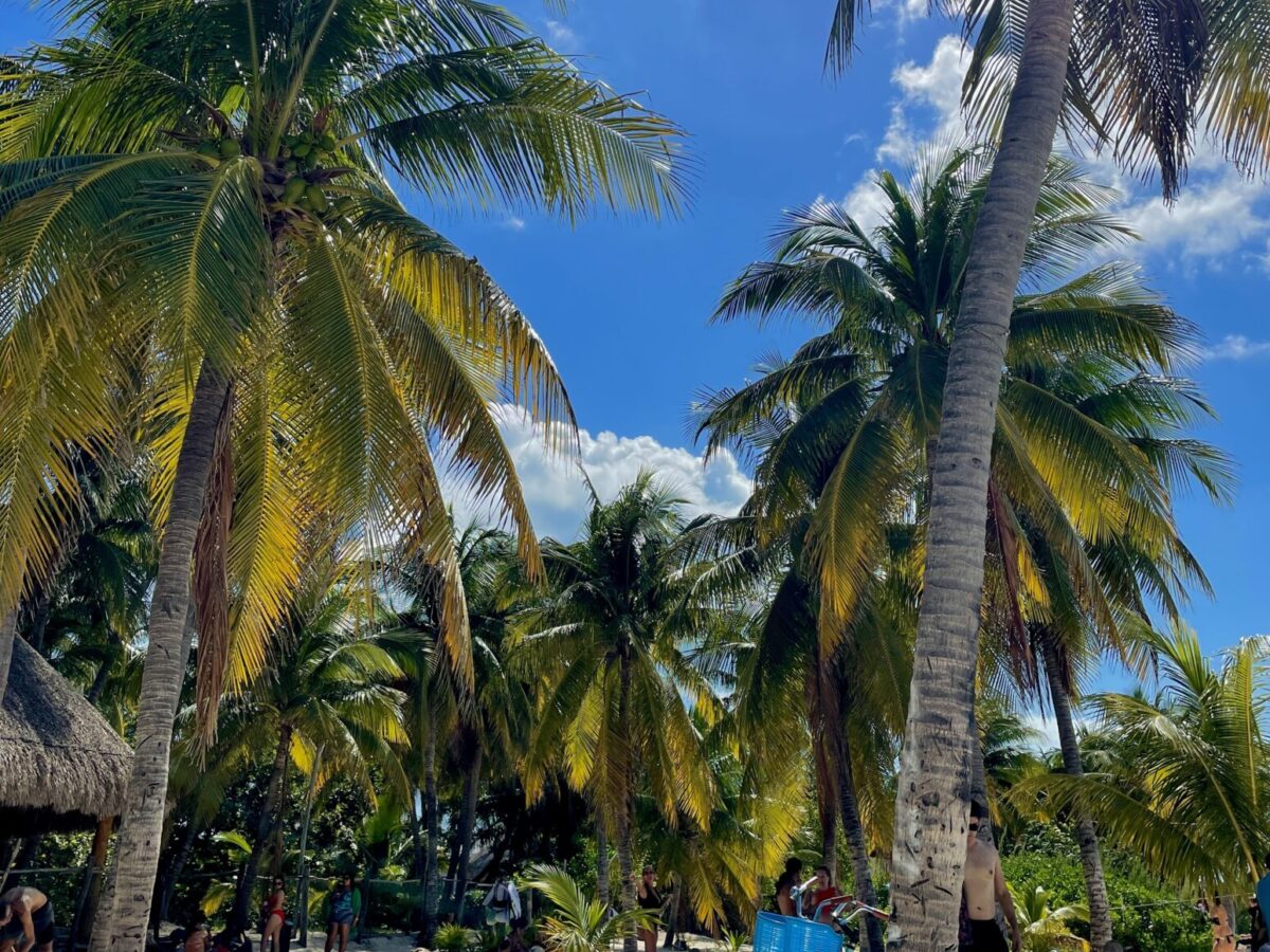 The Best Time to Visit Isla Mujeres (And When I’d Go Again) 2025