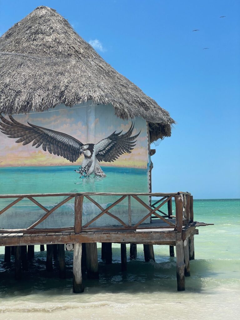 How to Get to Holbox Mexico (The Easiest Ways to Get There) 2025