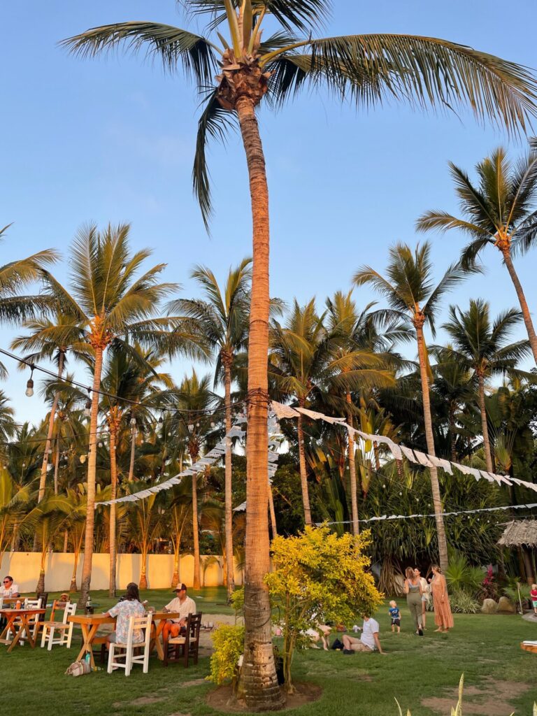 The 11 Best Places to Visit in Mexico: Beach Vacation,  Sightseeing & Amazing Food