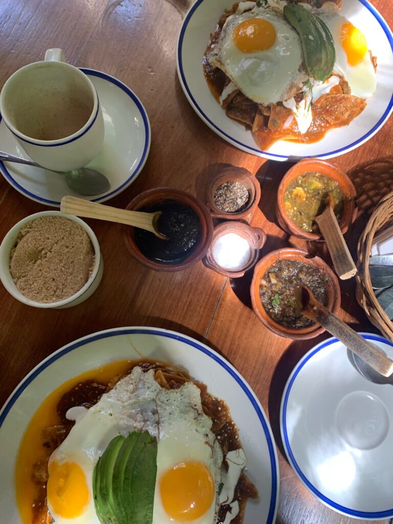 The 9 Best Restaurants in Playa del Carmen: My Top Food Spots 2025