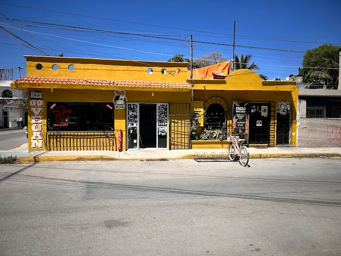 The 11 Best Restaurants in Tulum Mexico: My Guide to the Top Food Spots