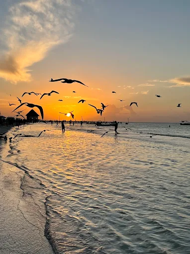 The 4 Best Beaches in Holbox + 1 Hidden Gem (2025)