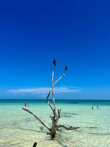 The 4 Best Beaches in Holbox + 1 Hidden Gem (2025)
