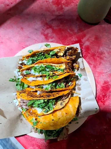 The 9 Best Restaurants in Holbox Mexico: My Top Food Spots on the Island 2025