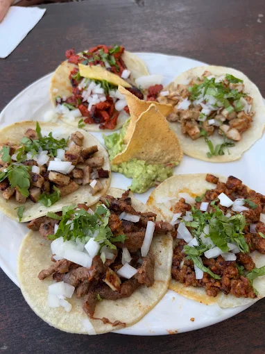 The 9 Best Restaurants in Holbox Mexico: My Top Food Spots on the Island 2025