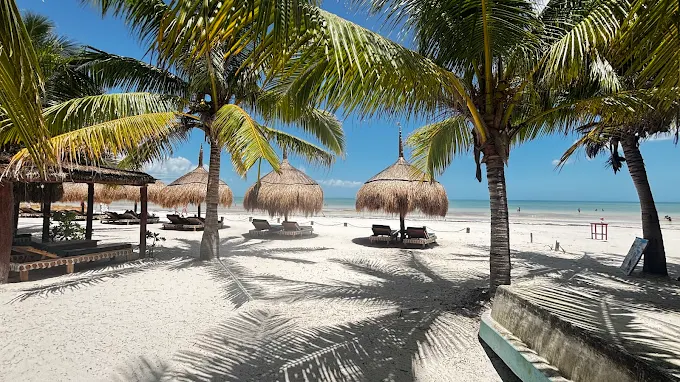 The 4 Best Beaches in Holbox + 1 Hidden Gem (2025)