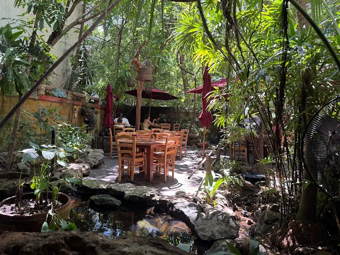 The 9 Best Restaurants in Playa del Carmen: My Top Food Spots 2025