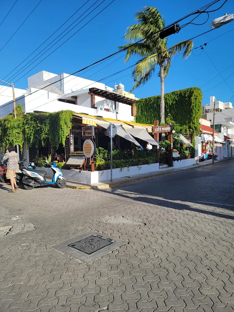 The 10 Best Restaurants on Isla Mujeres: My Top Foodie Picks on the Island