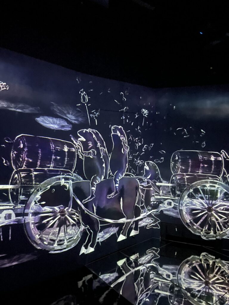 TeamLab Planets vs. TeamLab Borderless: My Honest Comparison 2026