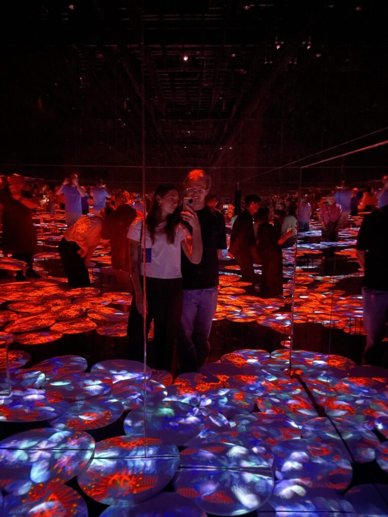 TeamLab Planets vs. TeamLab Borderless: My Honest Comparison 2026