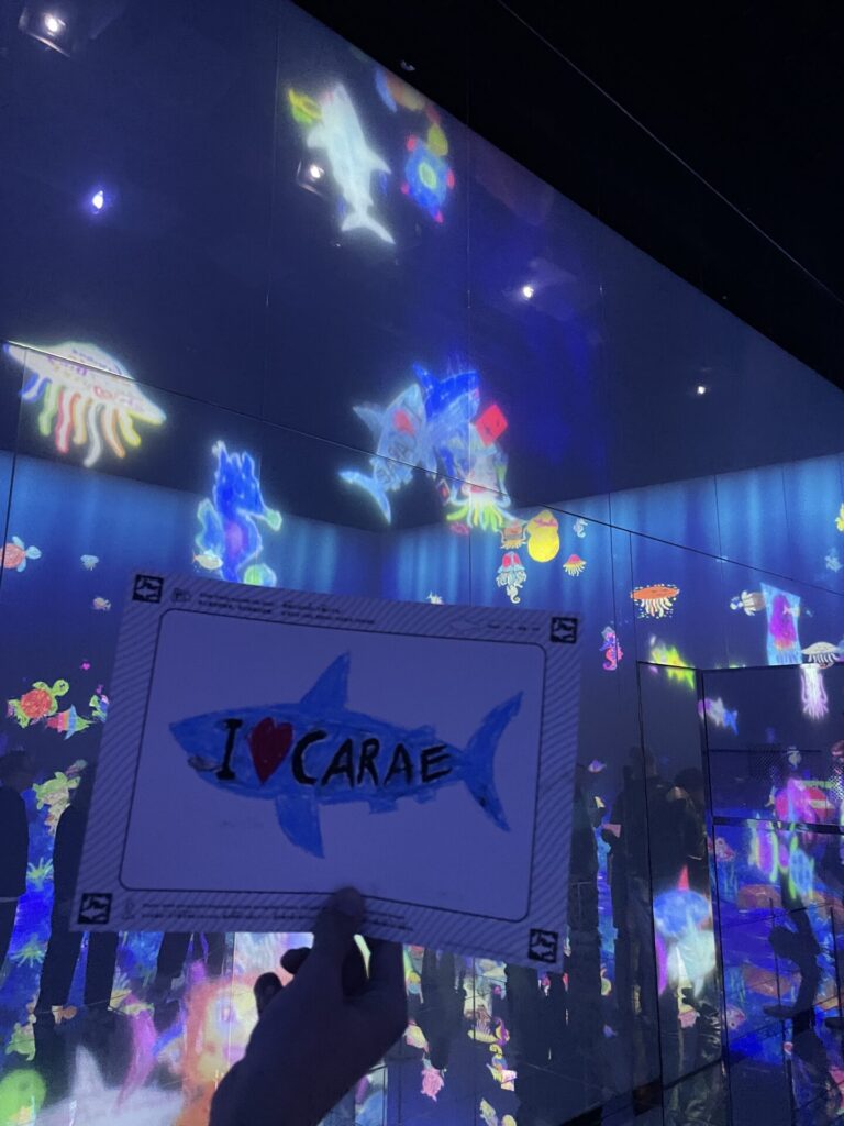 TeamLab Planets vs. TeamLab Borderless: My Honest Comparison 2026