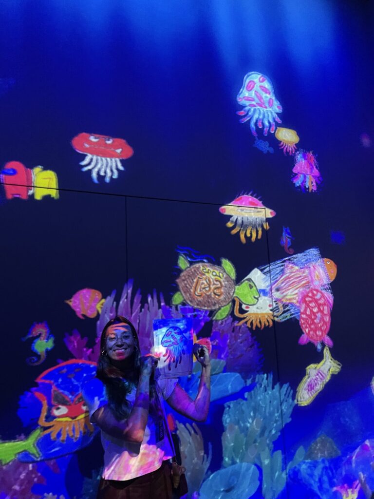 TeamLab Planets vs. TeamLab Borderless: My Honest Comparison 2026