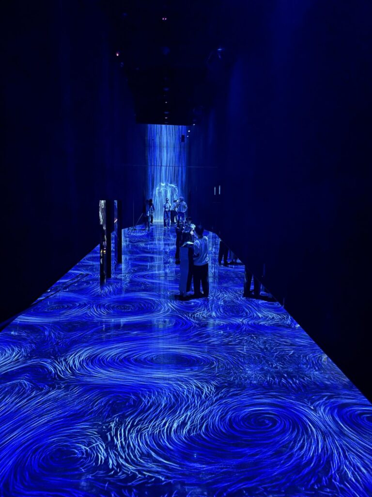 TeamLab Planets vs. TeamLab Borderless: My Honest Comparison 2026