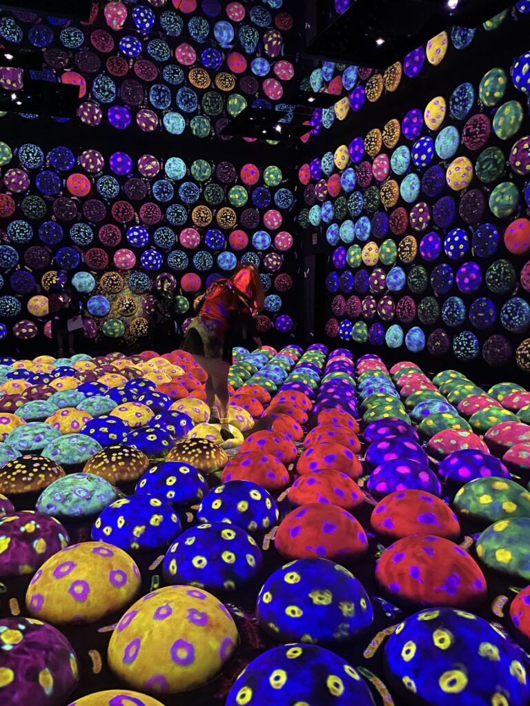 TeamLab Planets vs. TeamLab Borderless: My Honest Comparison 2026