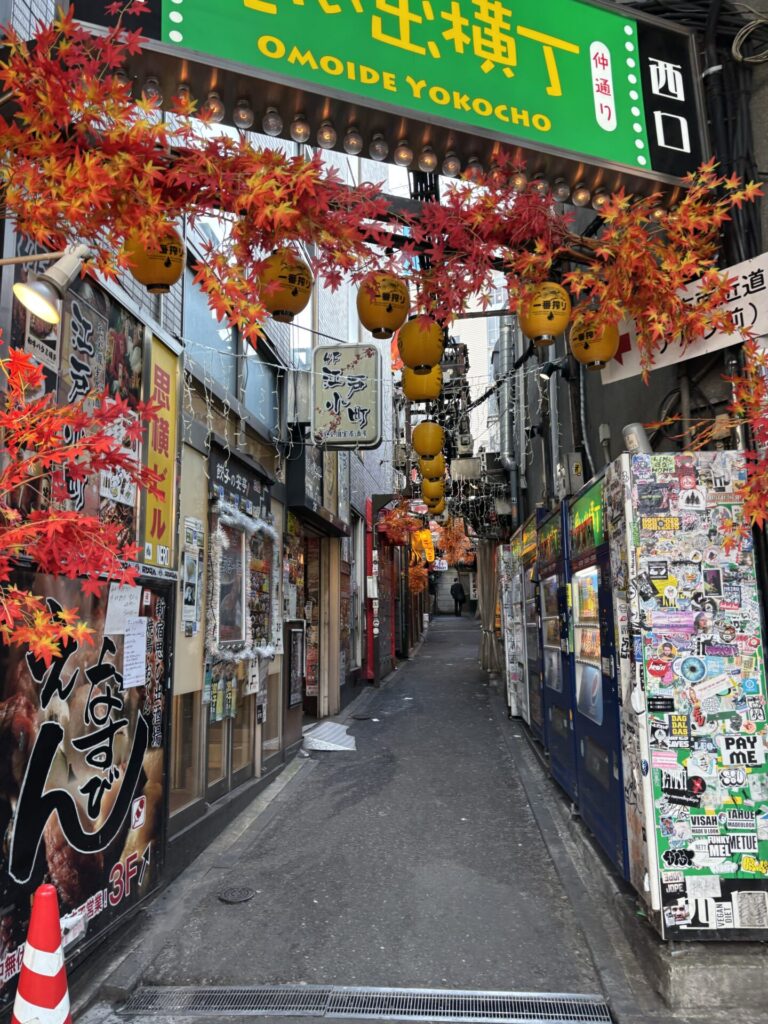 The Best Time to Visit Tokyo Japan (When I Would Go Again) 2026