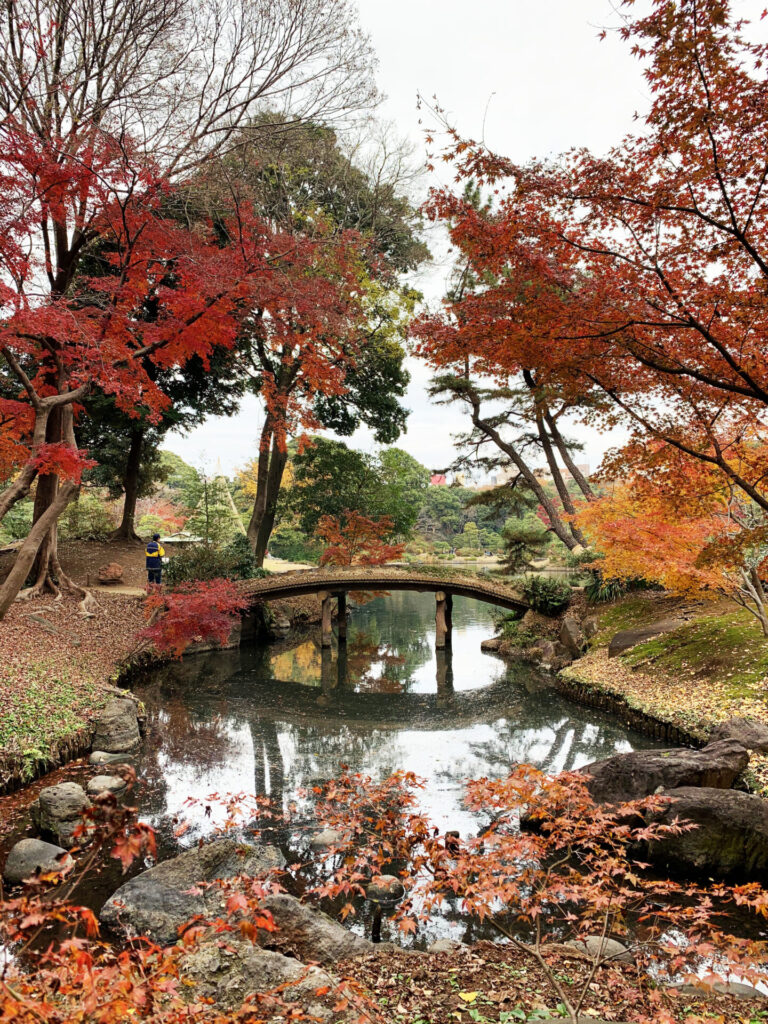 The Best Time to Visit Tokyo Japan (When I Would Go Again) 2026